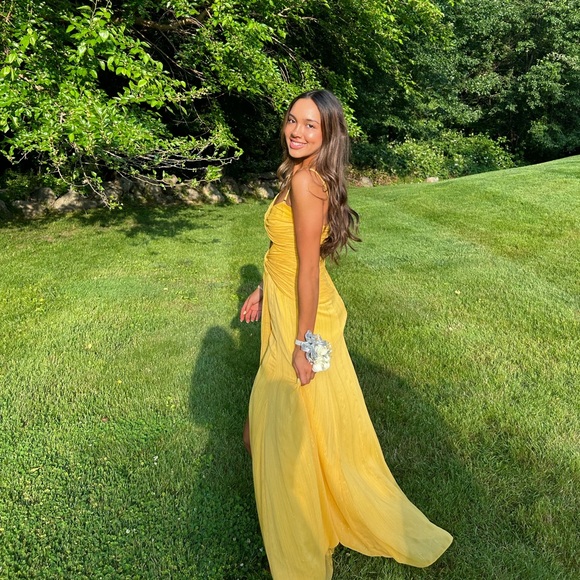 Meet your Posher, Sammy - Picture 1 of 1